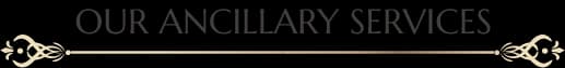 ancillaryTitle